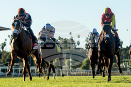 Santa Anita Horse Racing