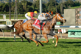 Santa Anita Horse Racing