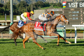 Santa Anita Horse Racing