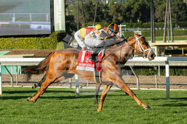 Santa Anita Horse Racing
