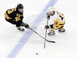 Penguins Bruins Hockey