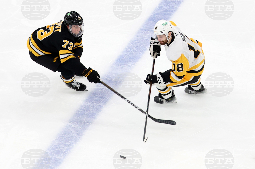 Penguins Bruins Hockey