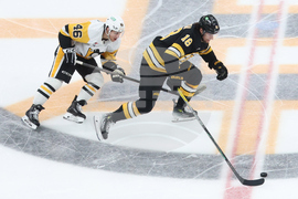 Penguins Bruins Hockey