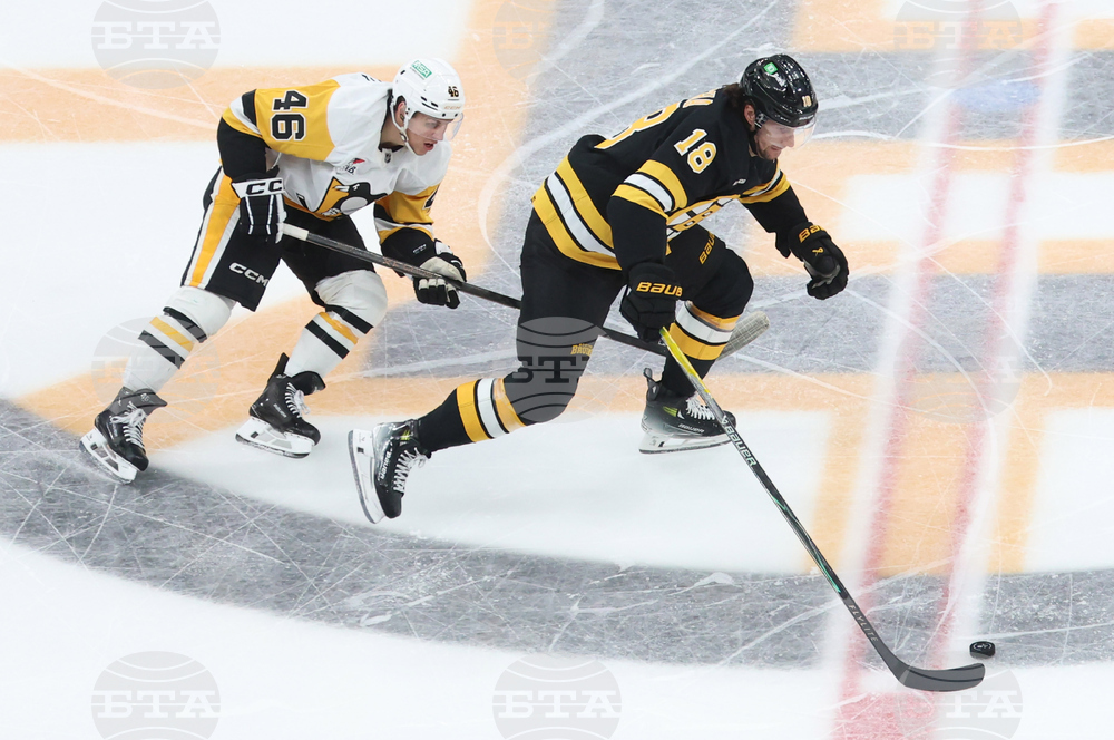 Penguins Bruins Hockey