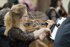 Български камерен оркестър - Давид Холцингер - концерт - Снимка: Александра Антонова