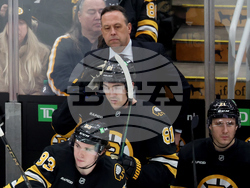 Penguins Bruins Hockey