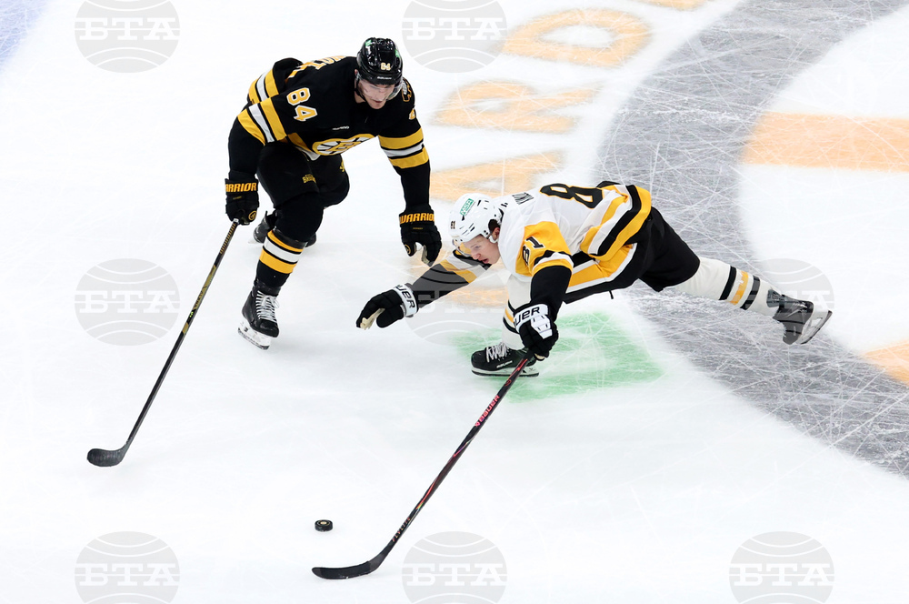 Penguins Bruins Hockey