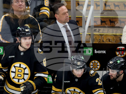 Penguins Bruins Hockey