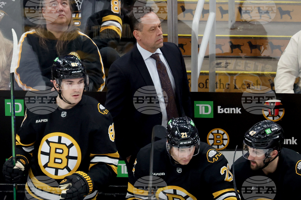 Penguins Bruins Hockey