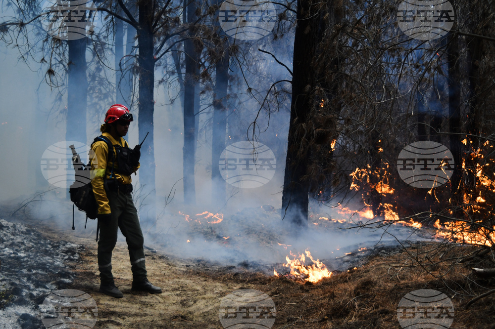 Argentina Wildfires