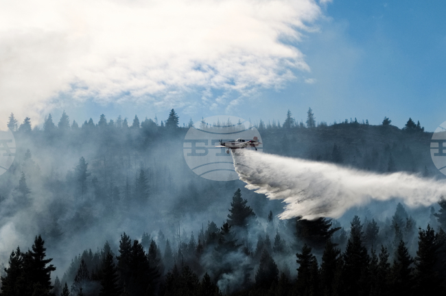 APTOPIX Argentina Wildfires