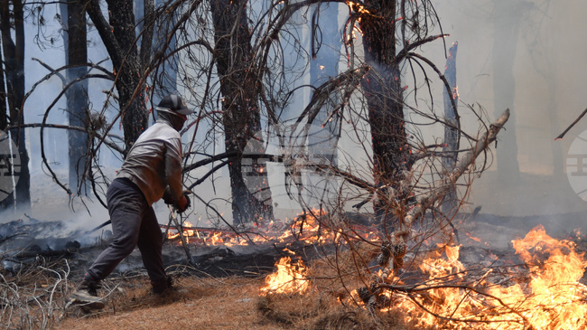 Аржентина обяви извънредно положение заради пожарите в Патагония