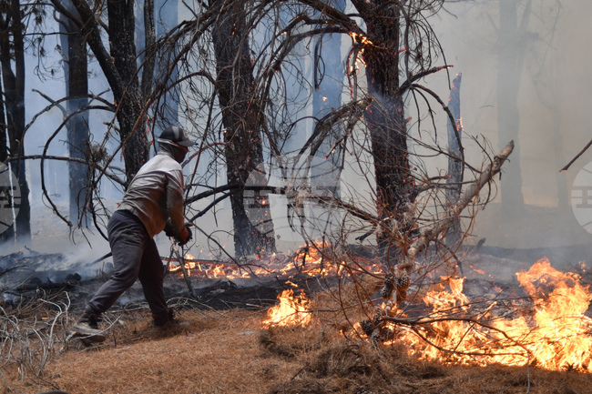 Аржентина обяви извънредно положение заради пожарите в Патагония