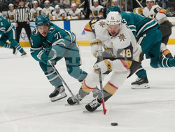 Golden Knights Sharks Hockey