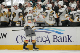 Golden Knights Sharks Hockey