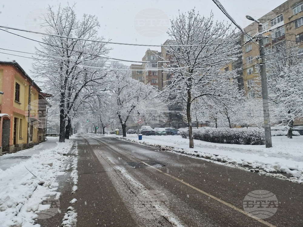 Пътищата в Разградско са проходими при зимни условия, температурите са между минус девет и минус пет градуса