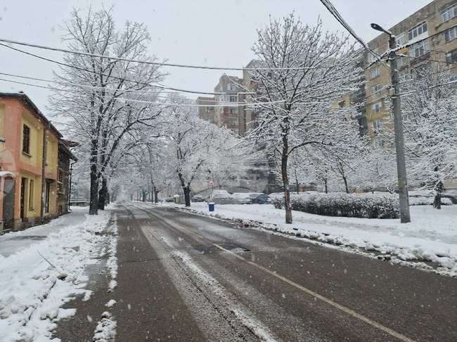 Пътищата в Разградско са проходими при зимни условия, температурите са между минус девет и минус пет градуса