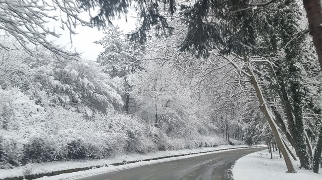 Пътищата в област Плевен са проходими при зимни условия и са опесъчени 