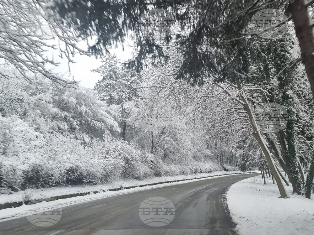 Пътищата в област Плевен са проходими при зимни условия и са опесъчени 