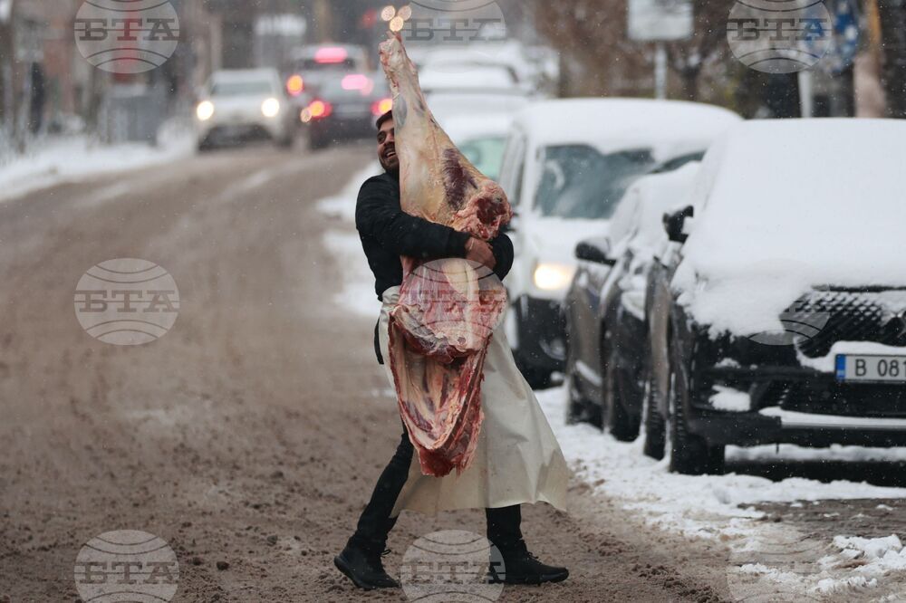 Столица - зимна обстановка