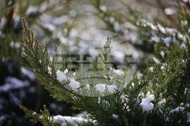 Бургас - зимна обстановка