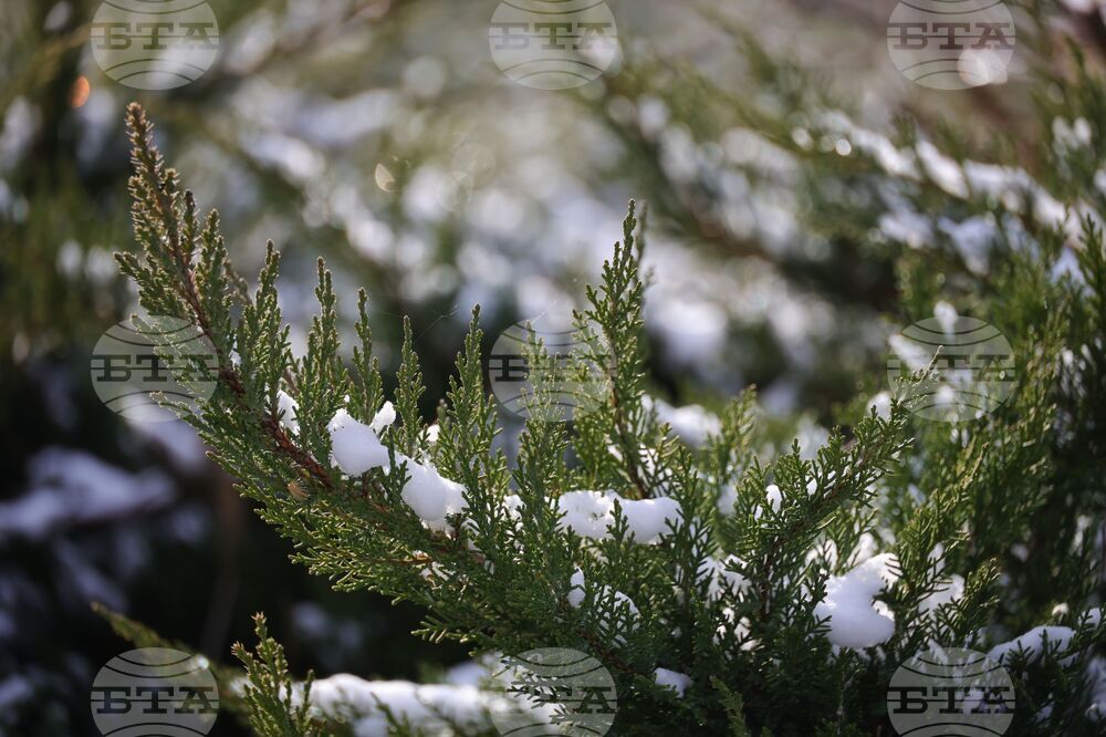 Бургас - зимна обстановка