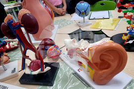 Чирпан - STEM център - откриване