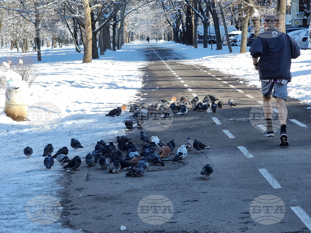 Русе - зимна обстановка