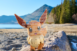 LEGO Pokémon Collaboration