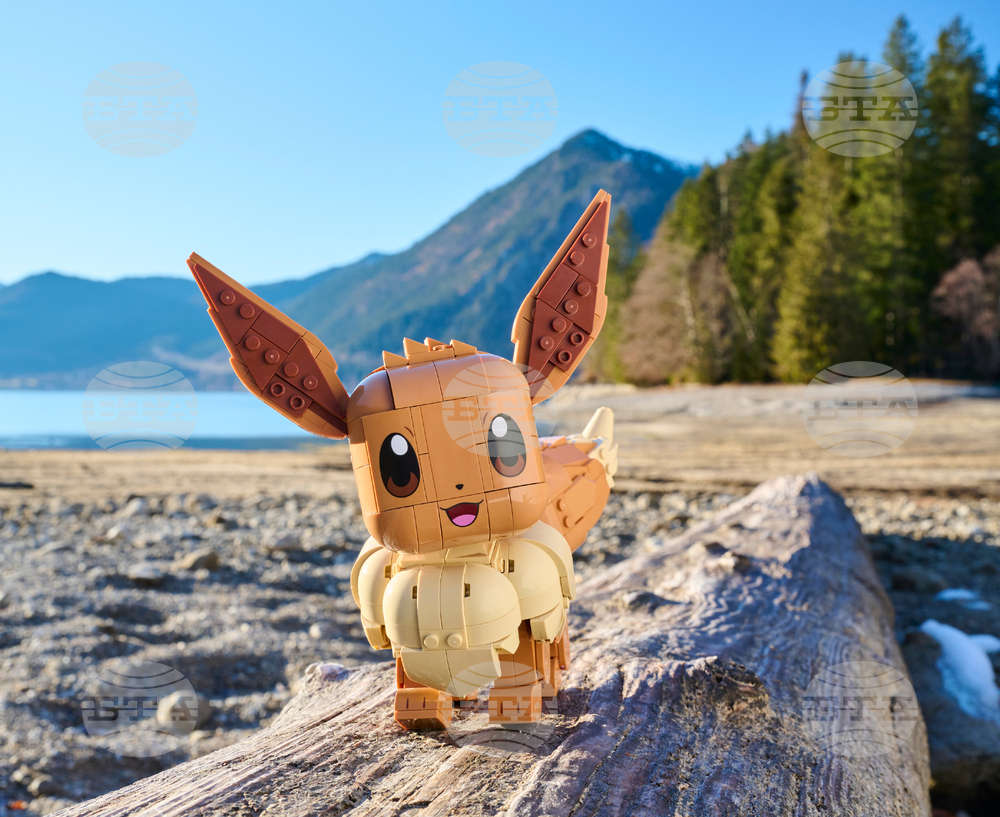 LEGO Pokémon Collaboration