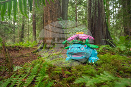 LEGO Pokémon Collaboration