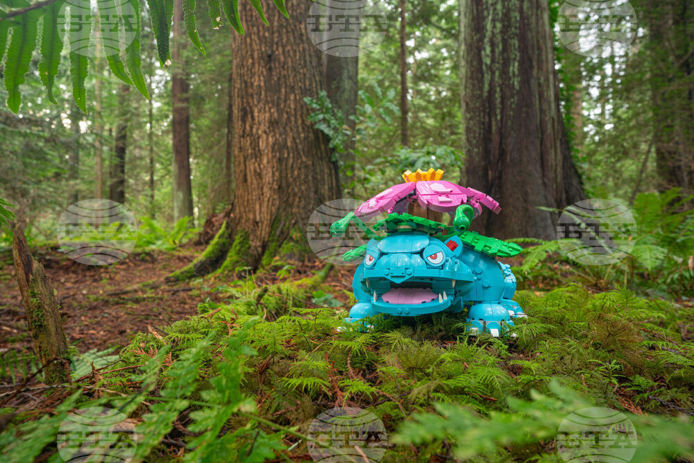 LEGO Pokémon Collaboration