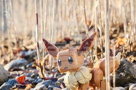 LEGO Pokémon Collaboration