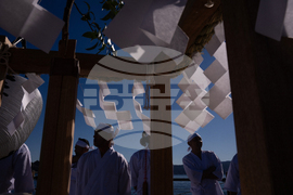 Japan New Year Festival