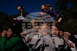 Japan New Year Festival