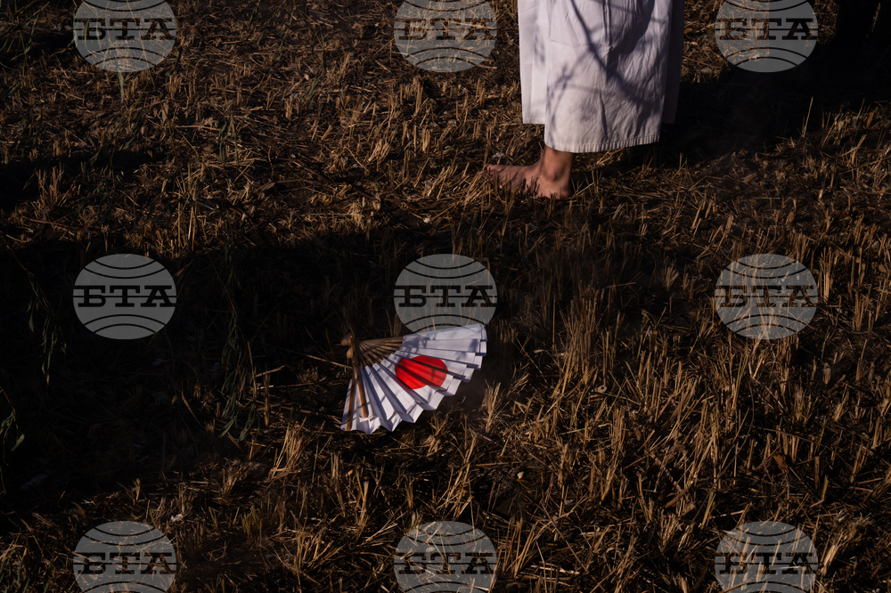 Japan New Year Festival