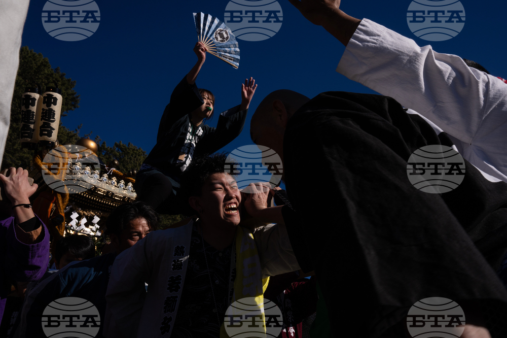 Japan New Year Festival