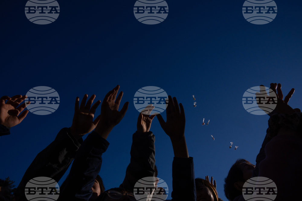 Japan New Year Festival