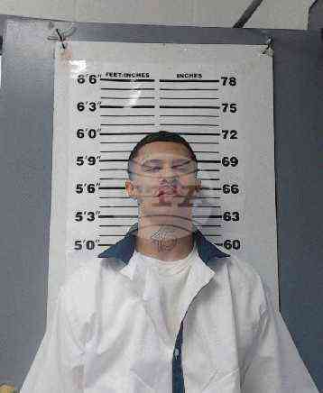 US Georgia Prison Fight Deaths