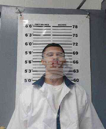 US Georgia Prison Fight Deaths