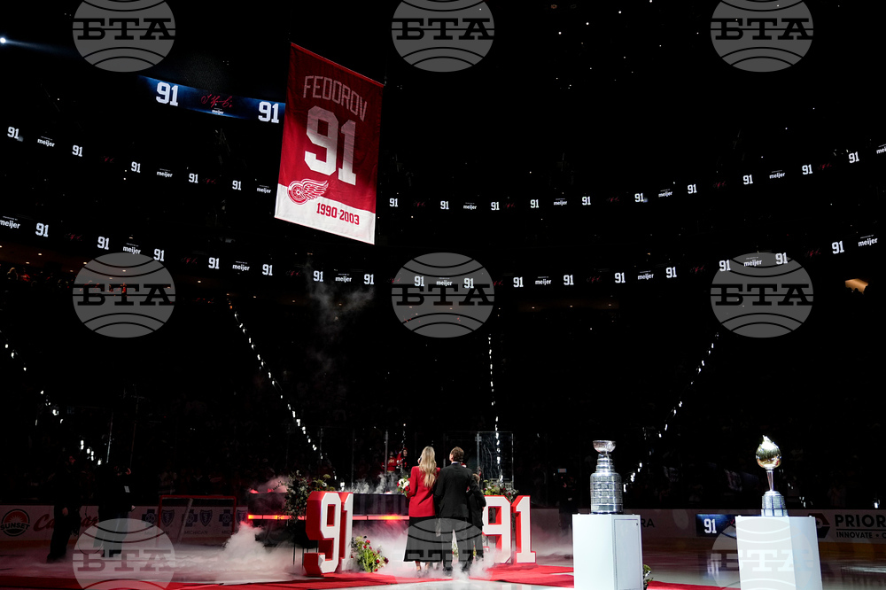 Hurricanes Red Wings Hockey