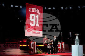 Hurricanes Red Wings Hockey