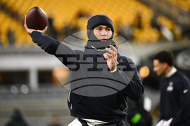 Texans Steelers Football