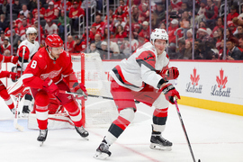 Hurricanes Red Wings Hockey