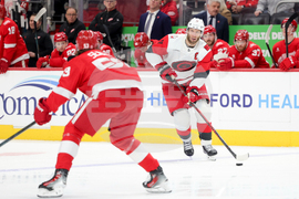 Hurricanes Red Wings Hockey
