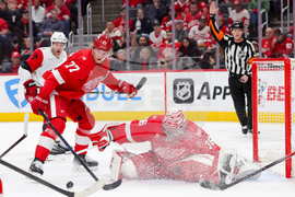 Hurricanes Red Wings Hockey
