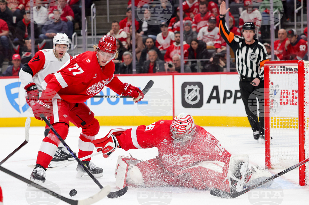 Hurricanes Red Wings Hockey
