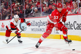 Hurricanes Red Wings Hockey
