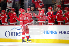 Hurricanes Red Wings Hockey