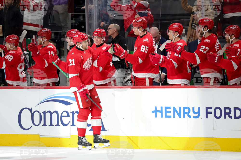 Hurricanes Red Wings Hockey